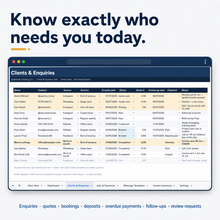 Custom Cleaning Business Client & Payment Dashboard thumbnail